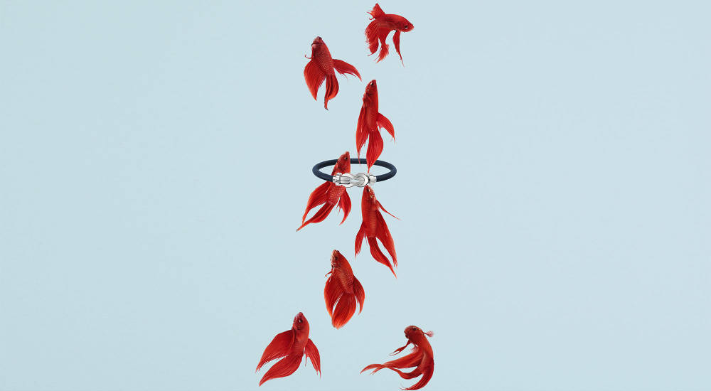 Fred unveils new 8°0 Collection to celebrate eight decades of contemporary jewelry creations 