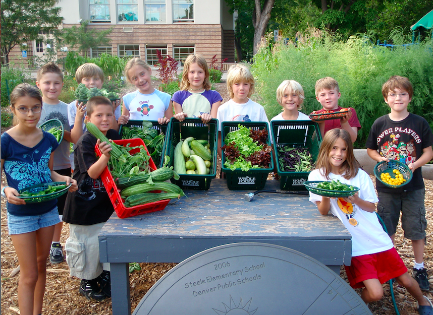 Whole Kids Foundation and United Health Foundation award $200,000 to schools and nonprofit organizations to improve children’s nutrition 