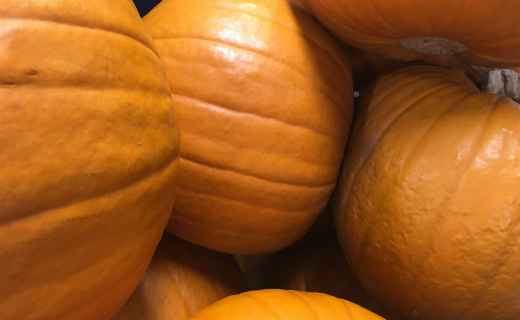 Sainsbury’s pumpkin-tastic facts 