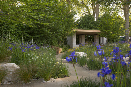 Garden designer Adam Frost won gold medal at RHS Chelsea Flower Show for the Homebase Garden – ‘Time to Reflect’ 