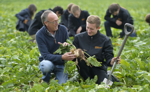 Sainsbury’s starts national apprenticeship scheme for horticulture and agriculture this month