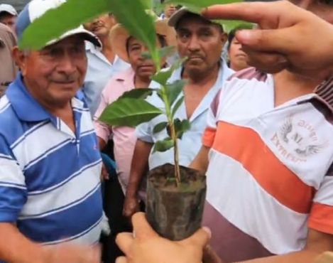 Starbucks Mexico donated over 180,000 rust resistant coffee plants to Chiapas coffee farmers through TODOS SEMBRAMOS CAFÉ program 