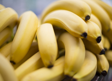 Costa Rica und Panama: REWE Group investiert rund 1 Million Euro für eine nachhaltigere Bananenproduktion
