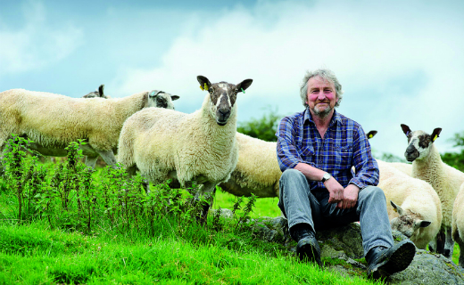 Sainsbury’s extends its British lamb season until at least January 2016 