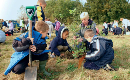 Sainsbury’s: Woodland Trust marks historic tree planting milestone 