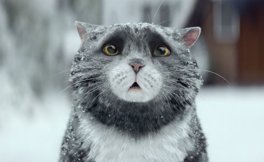 Sainsbury’s unveils heartwarming new ad campaign featuring Judith Kerr’s Mog