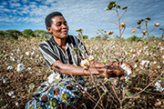 Coop Naturaline Medienreise in Tansania, Besichtigung der Bio Baumwollen Plantagen. Tag 1.  BioRe Baumwoll Produzentin Flora Manangu auf ihrem Feld in Minyanda. Bild Remo Naegeli