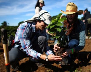 Starbucks partners (employees) to work alongside farmers in coffee growing regions 