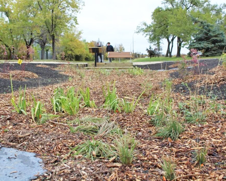 In 2015, the Manitoba Eco-Network received $35,000 from Co-op Community Spaces to help create a rain garden that will improve stormwater management in Winnipeg.