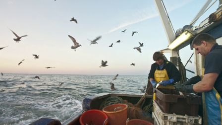 Carrefour encourages responsible consumption of seafood products 