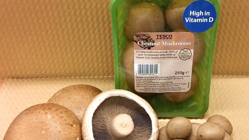Tesco to launch the UK’s first ever range of mushrooms enriched with vitamin D 